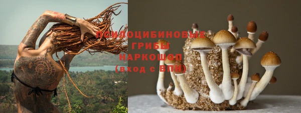 марки lsd Белоозёрский
