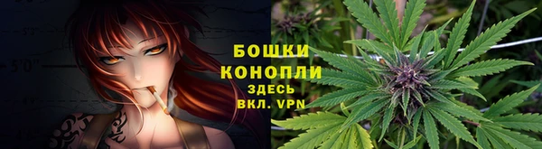 тгк Белокуриха