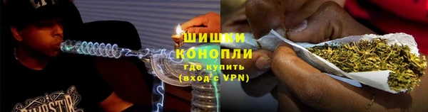 тгк Белокуриха