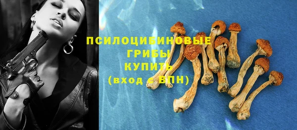 тгк Белокуриха