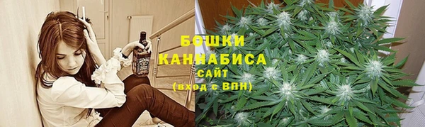 тгк Белокуриха