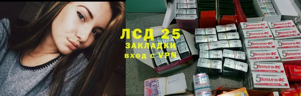 ГАЛЛЮЦИНОГЕННЫЕ ГРИБЫ Беломорск